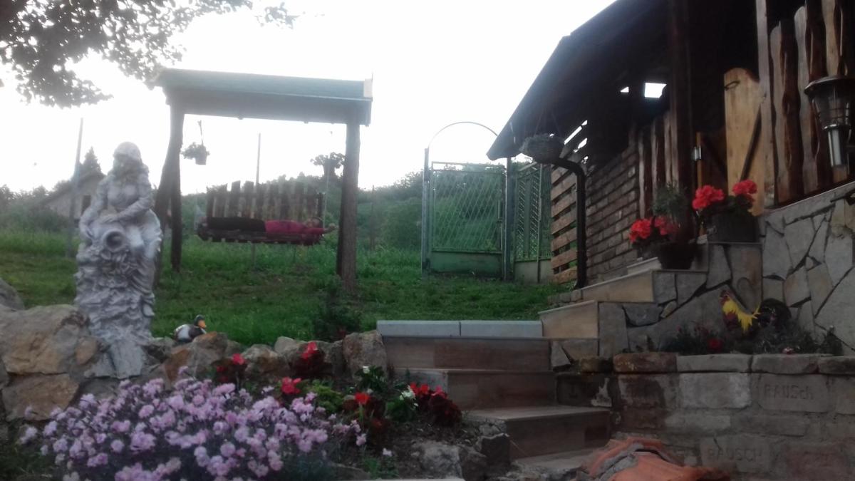 Apartman Darija - Housity