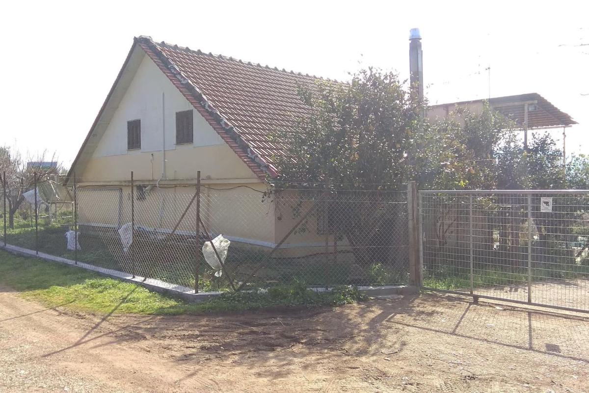 Mallios Country house near Ancient Olympia - Housity