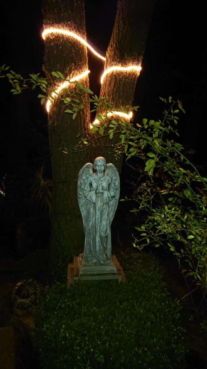 Cabañas Tapalpa Sierra del Tecuan, Cabaña Lince - Housity