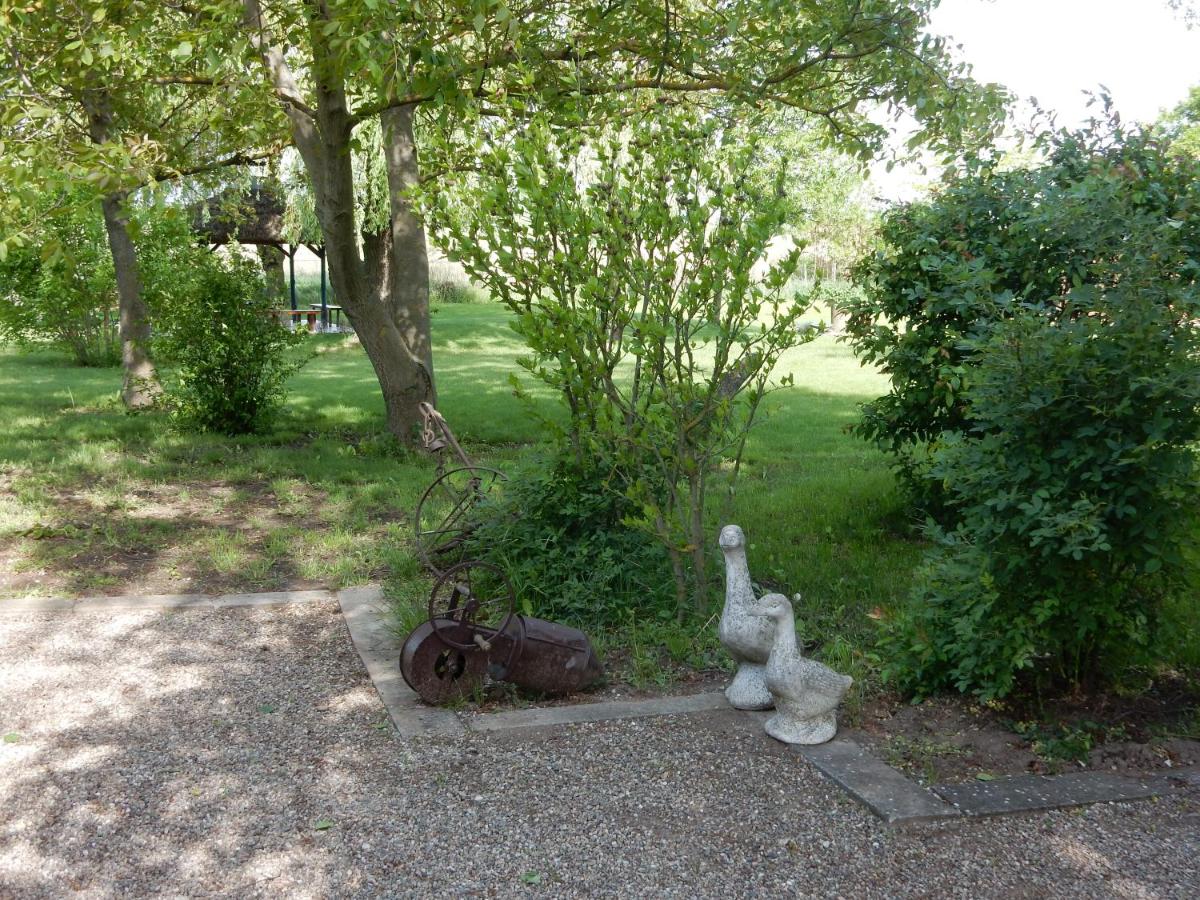 Herberg Tisza - Housity