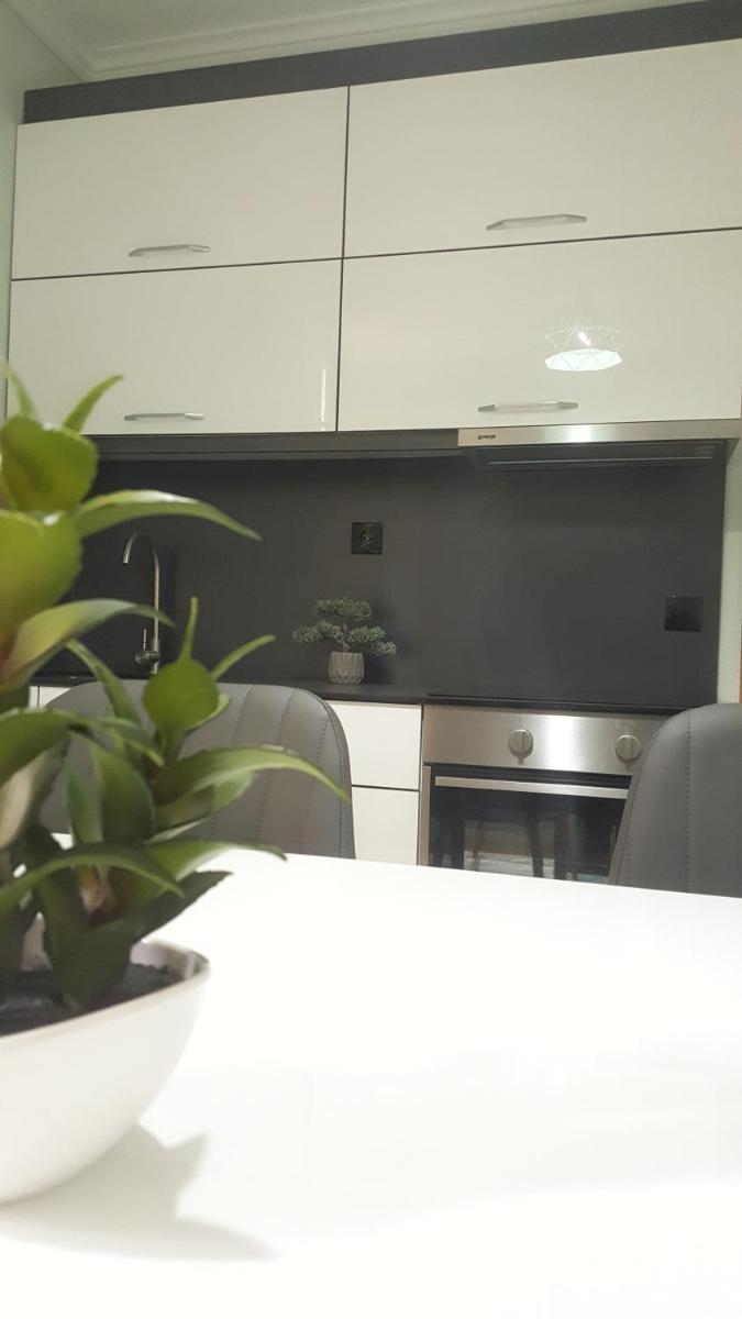 Cozy&Comfy Apartment in the Center of Prishtina - Housity