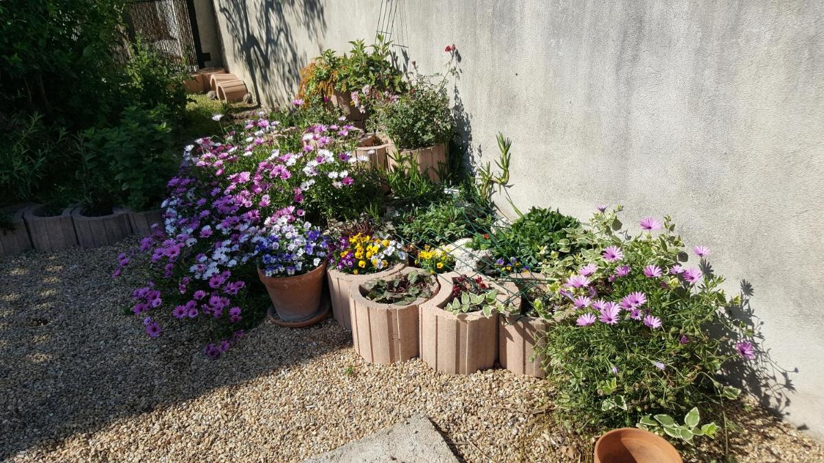Appartement avec terrasse quartier Montplaisir - Housity