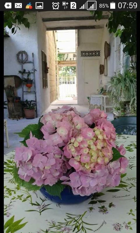 Campanino68 - Housity