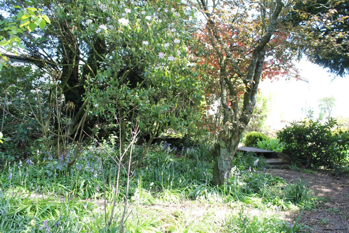 The Quirky Quarry - Housity