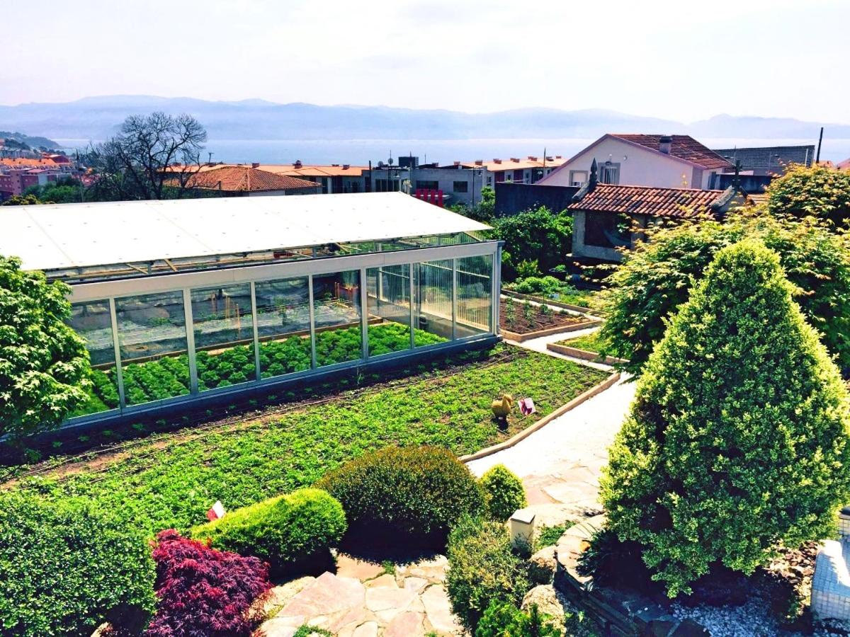 Jardín al aire libre en Augusta Eco Wellness Resort 4 Superior