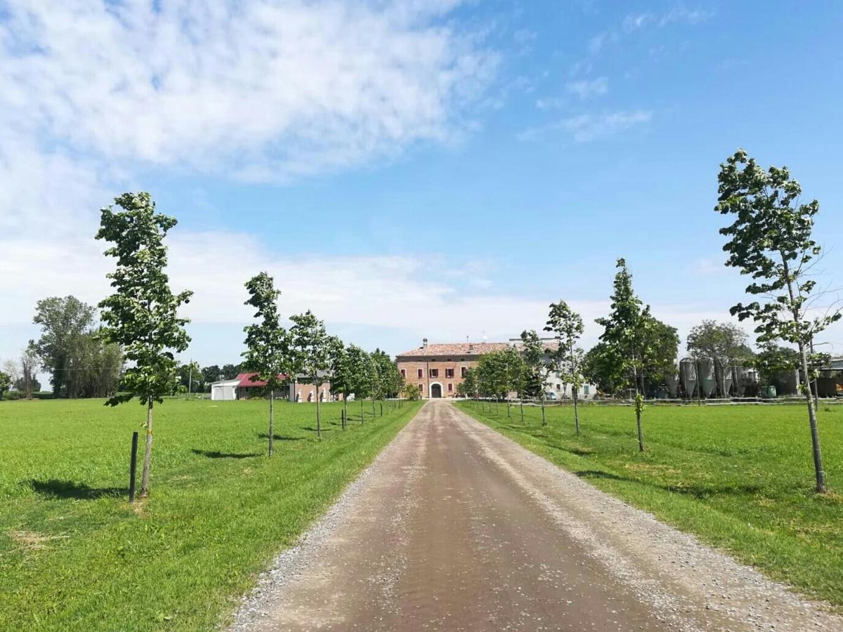 New Flowers Farm B&B - Housity