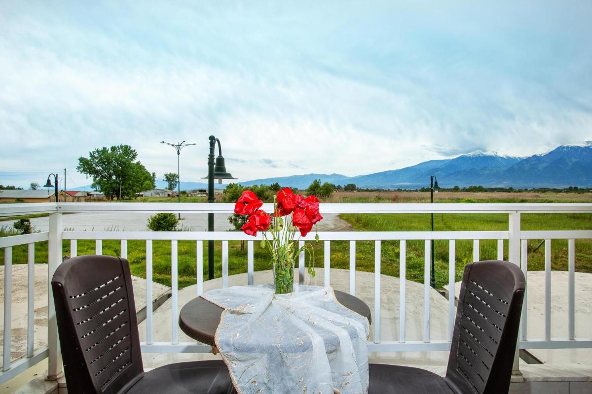 Amfion Hotel - Housity