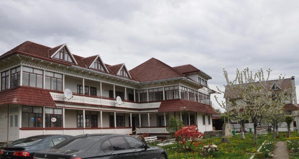 Padurea De Argint - Housity