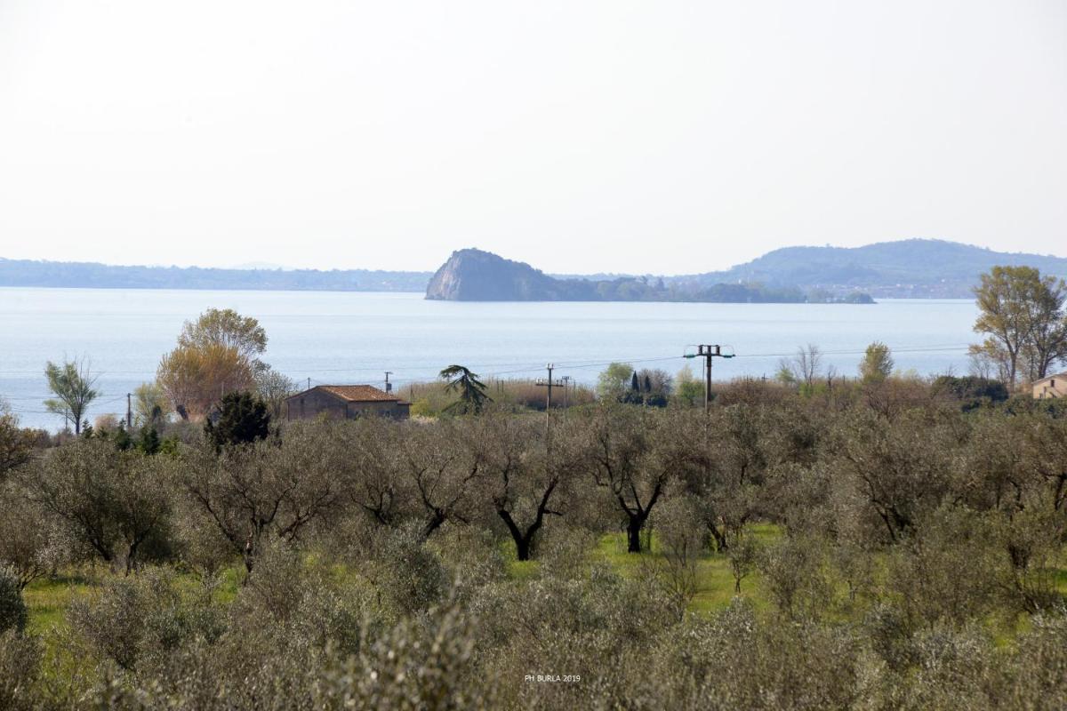 Il Casale degli Ulivi - Housity