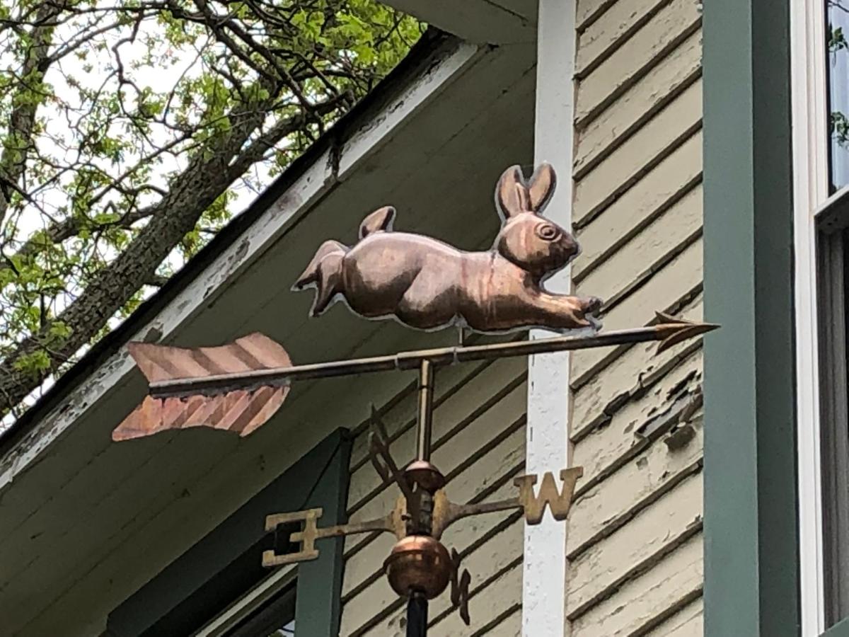Magnolia House & Gardens B&B - Housity