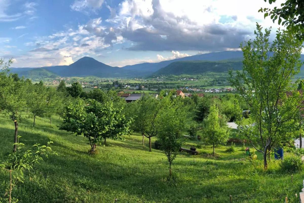 Holiday Home Nektar Park - Housity