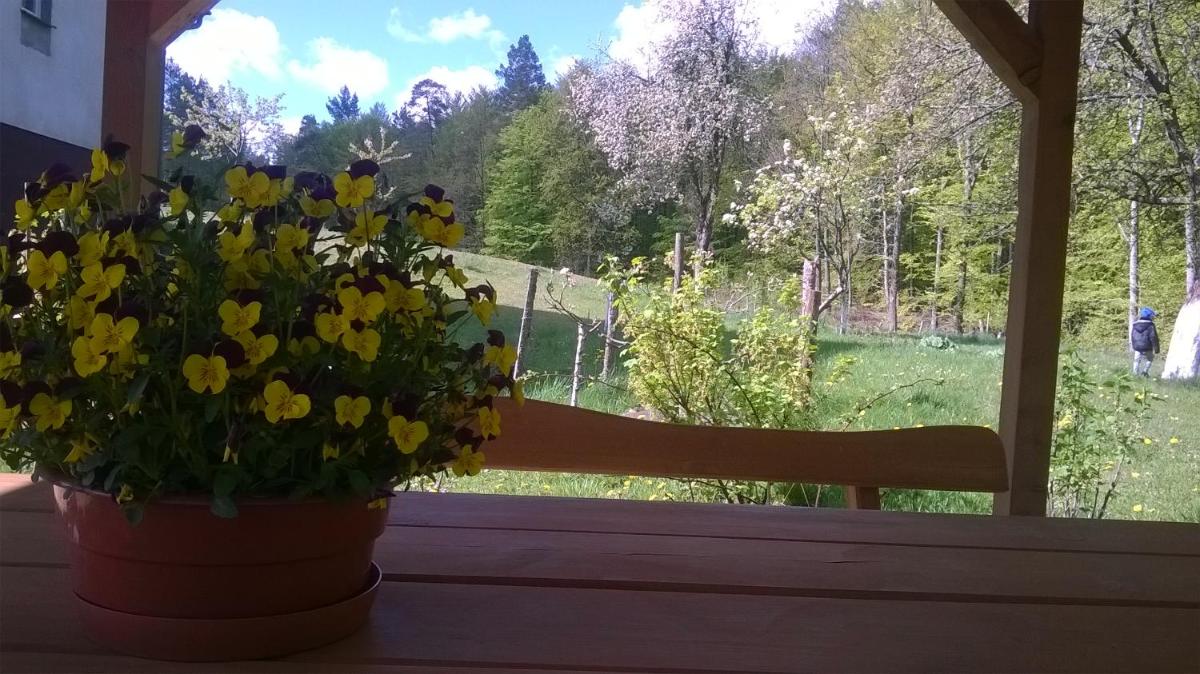 Suitetrails - Agroturystyka Czarna Dąbrowa
