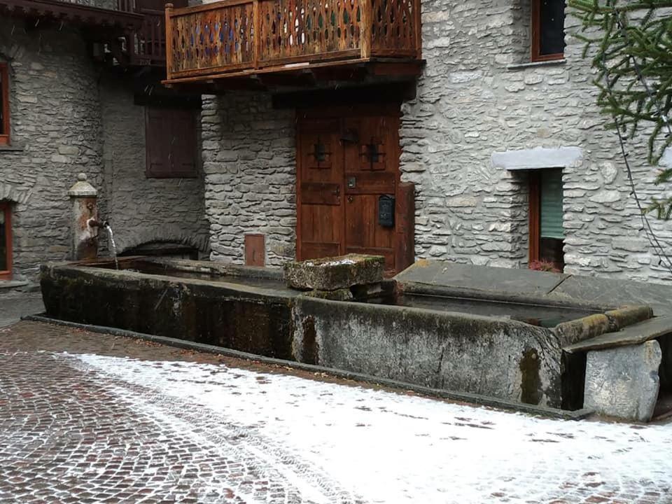 Villa Ester - Housity