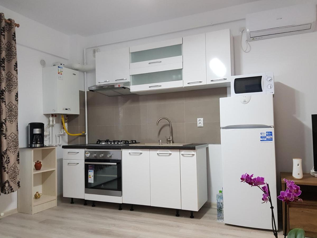 Cozy Apartment In The Heart of Iasi - Palas Mall - Housity