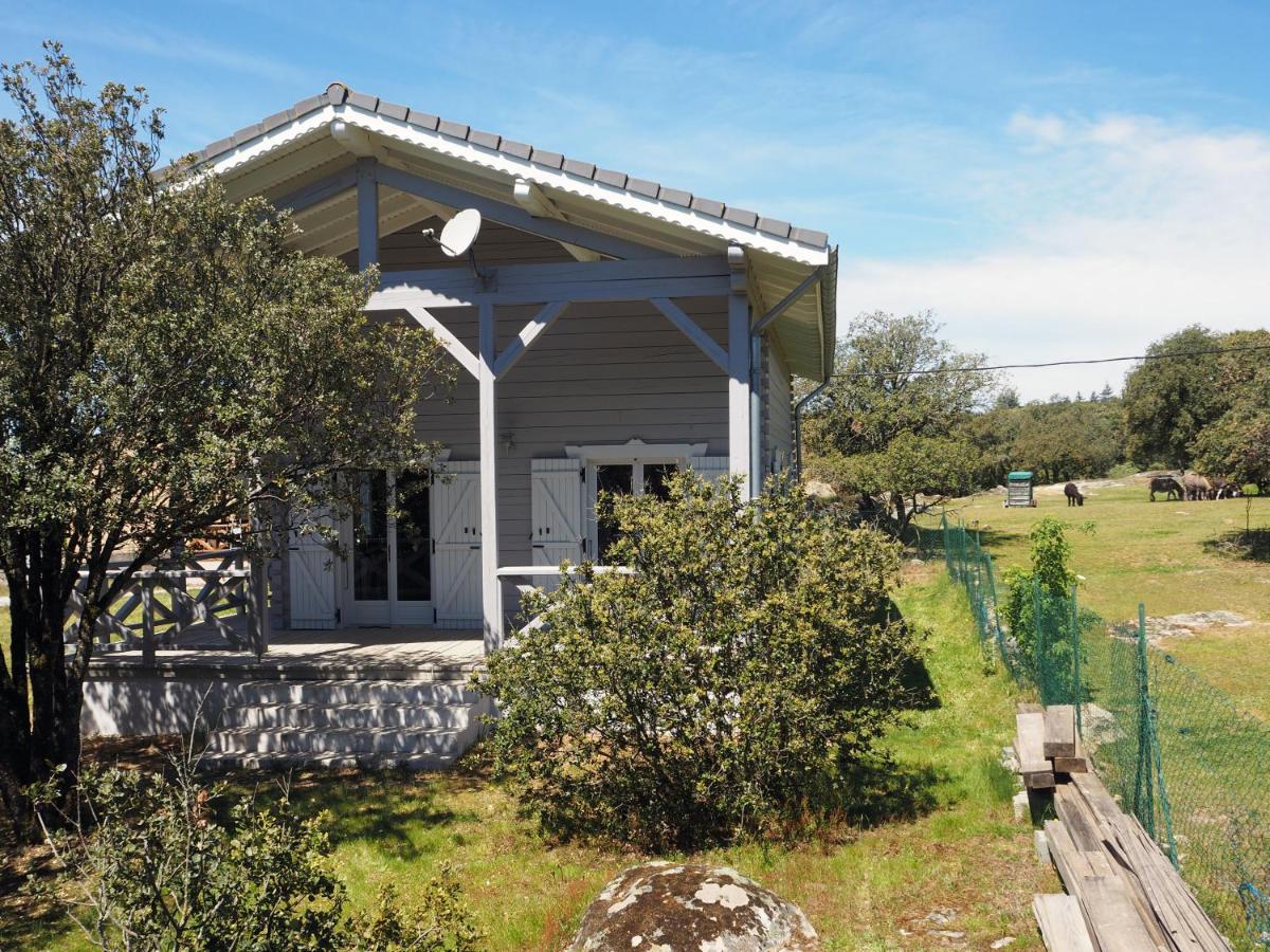 Le Chalet du Moulin - Housity