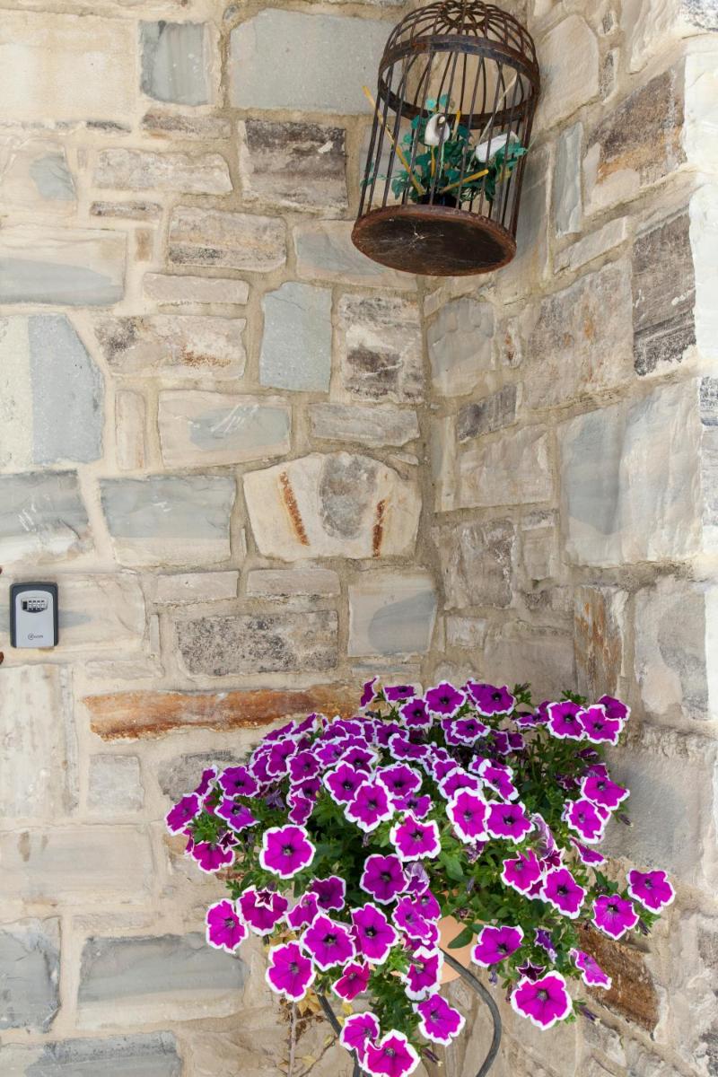 Kritikies Kydonia - Housity