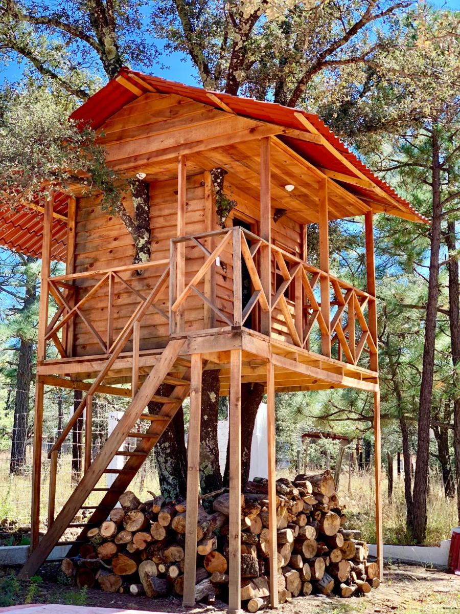 CASA DEL ARBOL en la Sierra de Durango - Housity