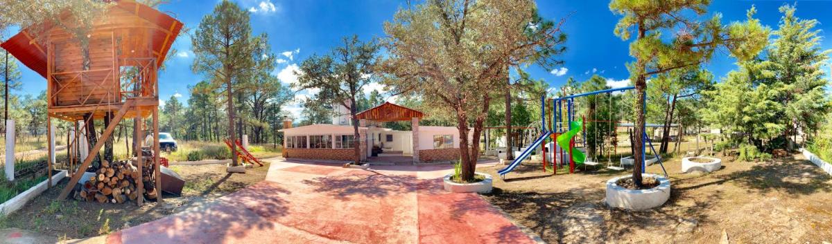 CASA DEL ARBOL en la Sierra de Durango - Housity