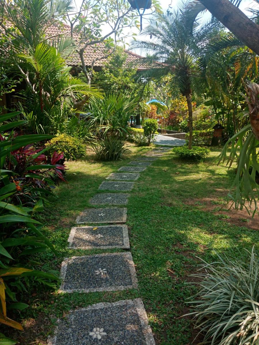 Villa Elina - Housity