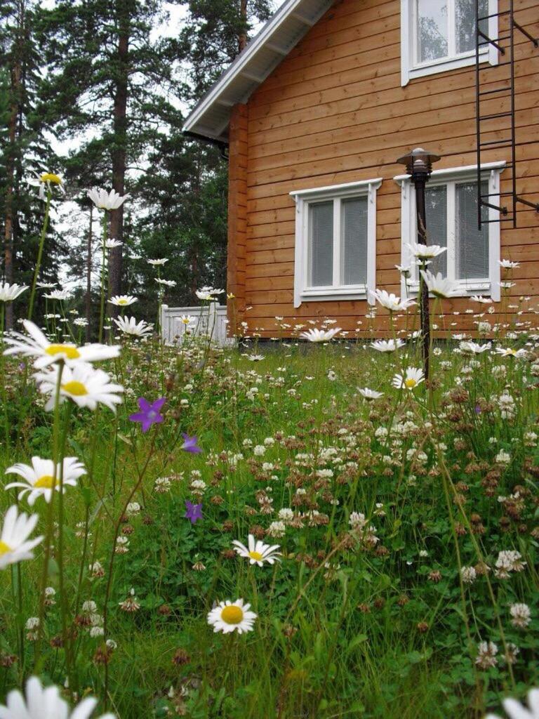 Ylijarvi cottages - Housity