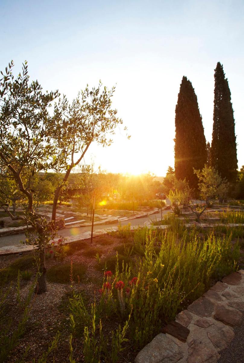 Jardin de l'établissement MUSE Saint Tropez - Small Luxury Hotels of the World