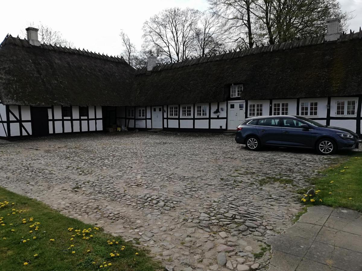 Baekgaarden B&B - Housity