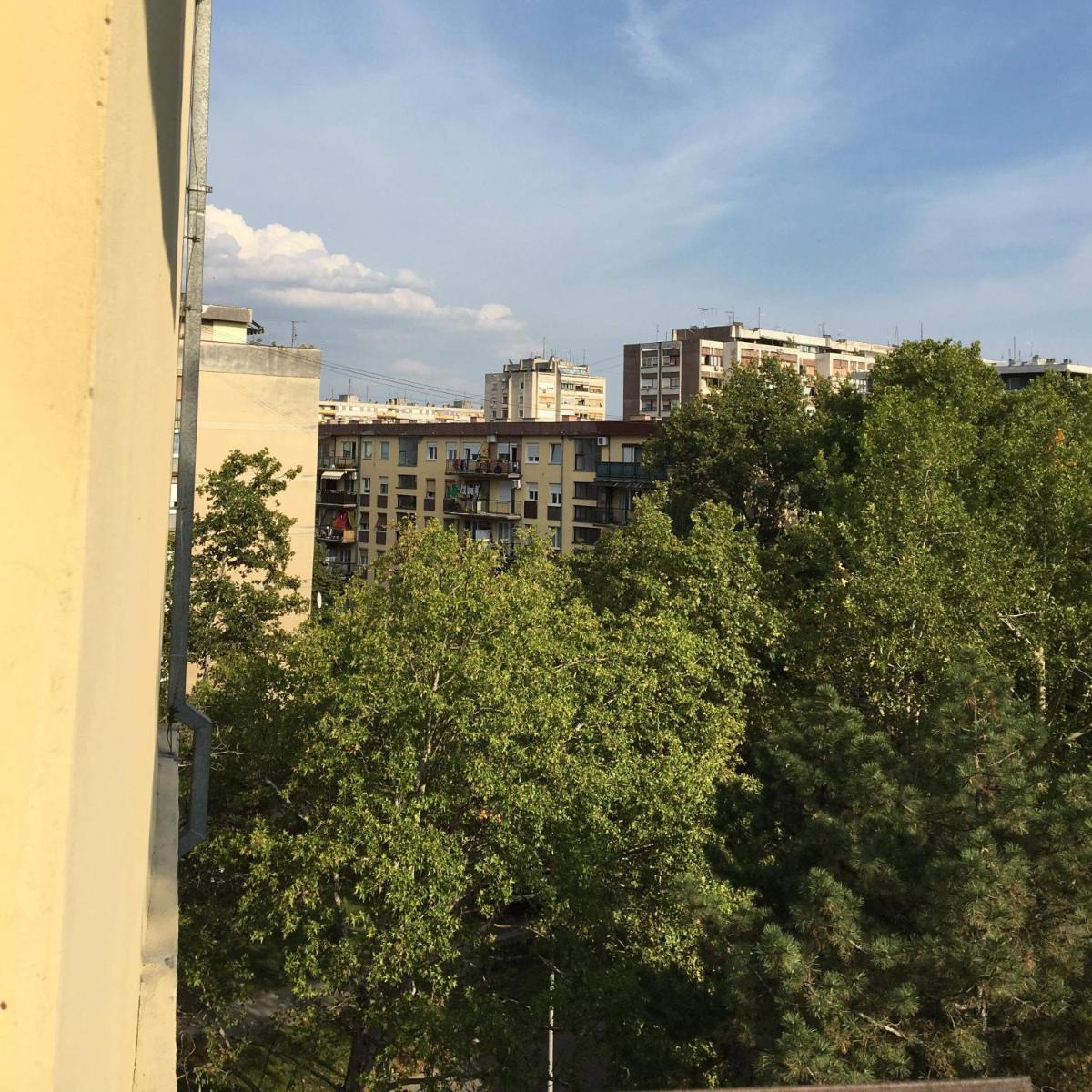 GREEN DREAMS - Housity