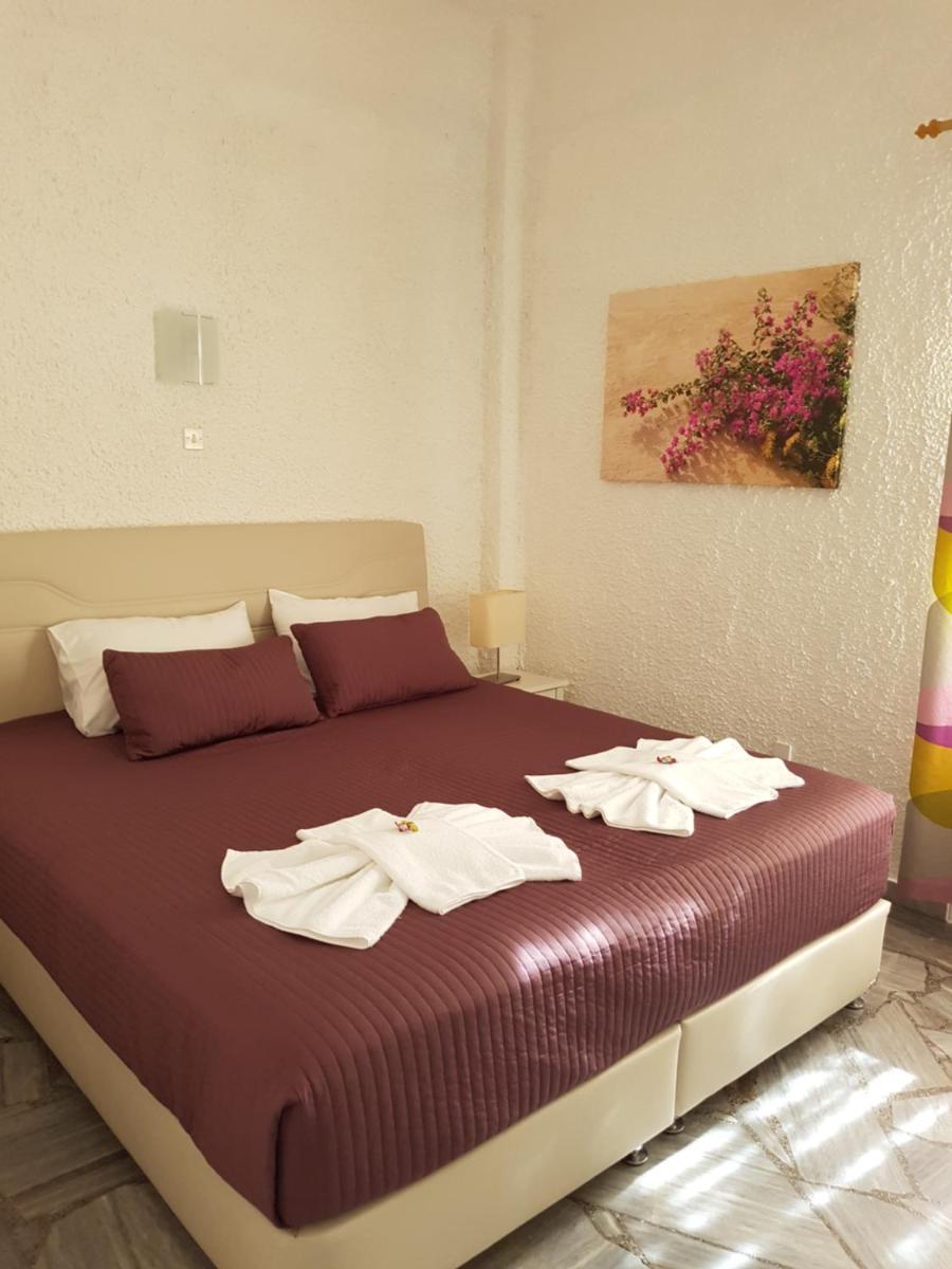 Aegialis Studios & Rooms - Housity