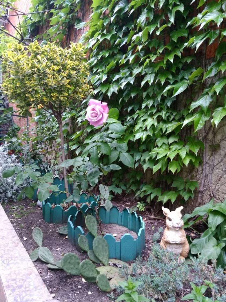 Guest house Irina - Housity