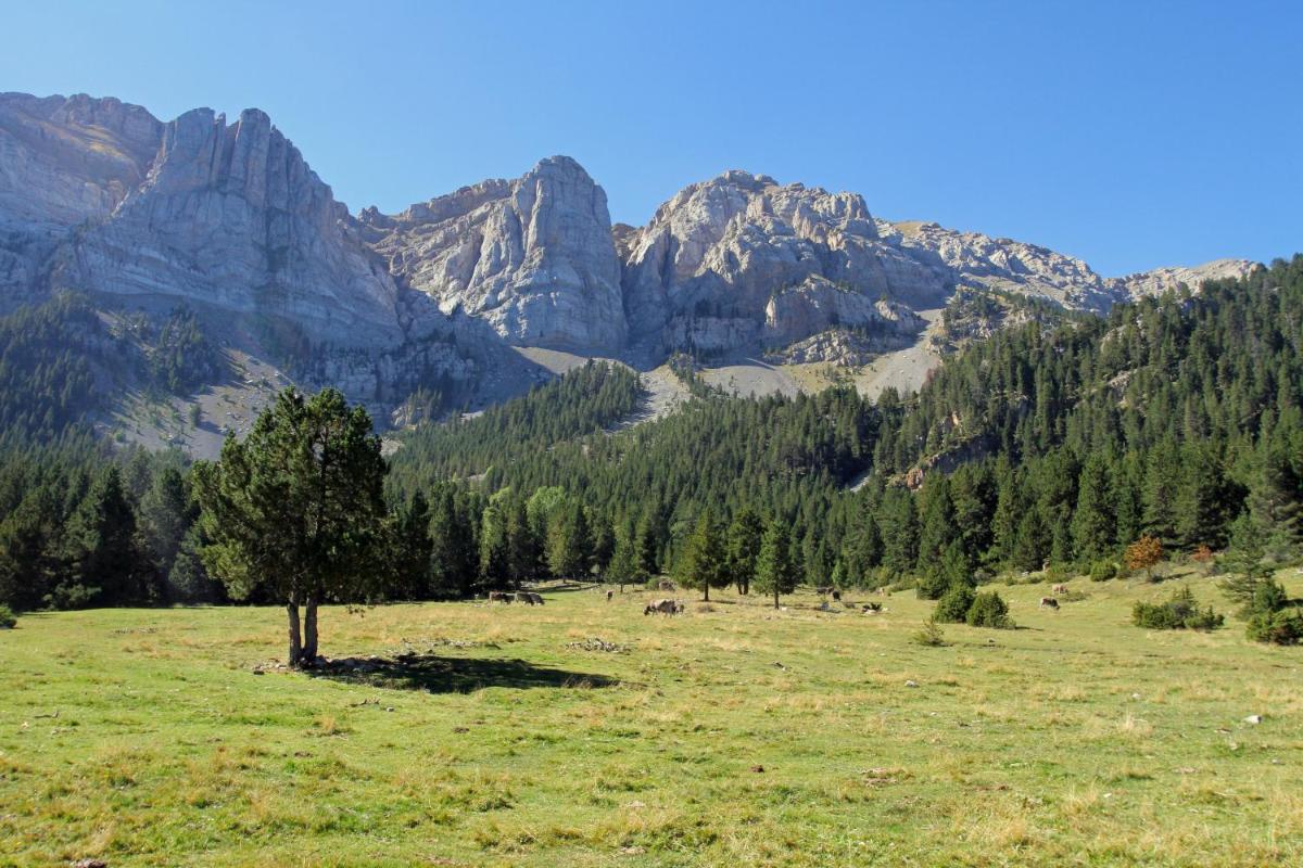 Paisaje cerca de este resort