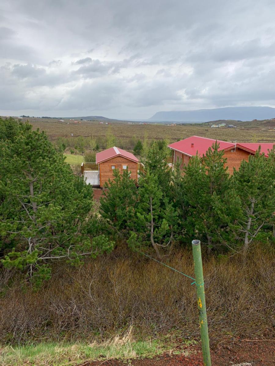 Cosy cottage-Golden circle - Housity