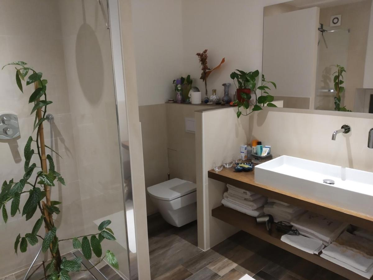 Le Térébinthe B&B - Housity