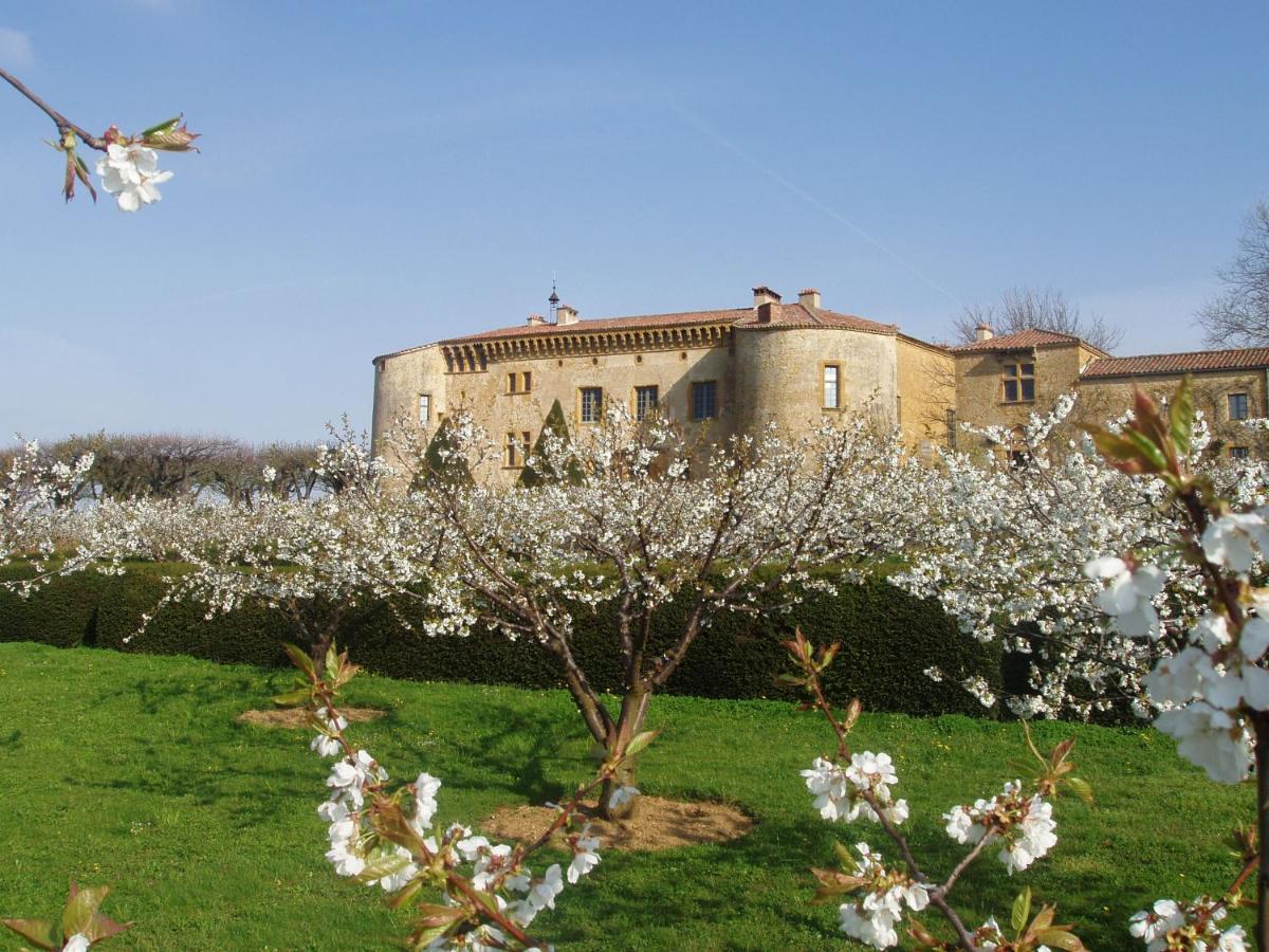 Jardin de l'établissement Château de Bagnols