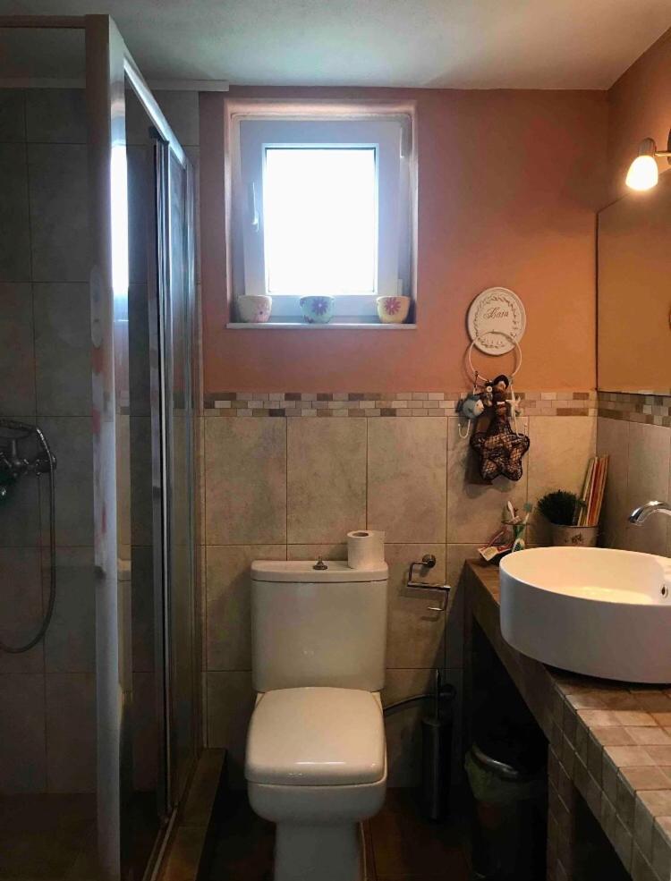 Plane Tree House - Housity