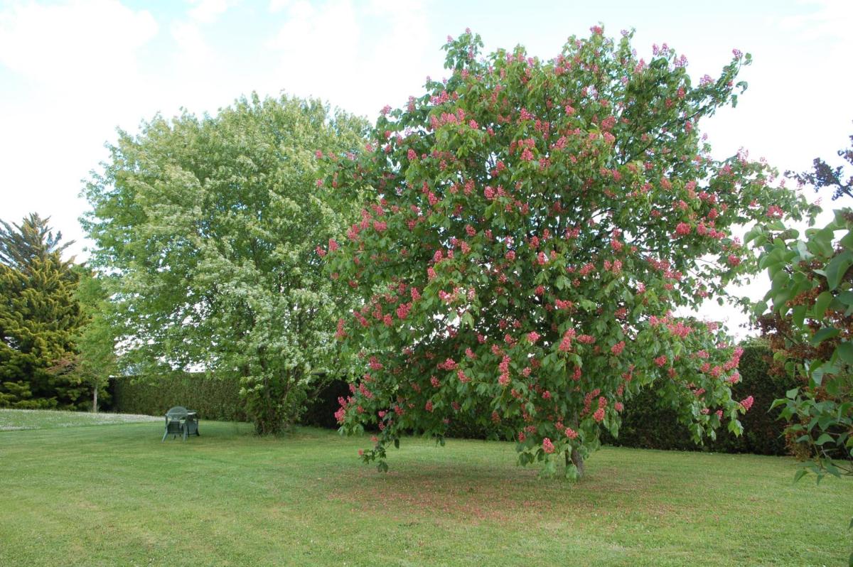 Gite Les Coquelicots - Housity
