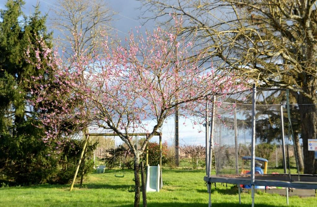 Maison d'Hôtes La Prévôté - Housity