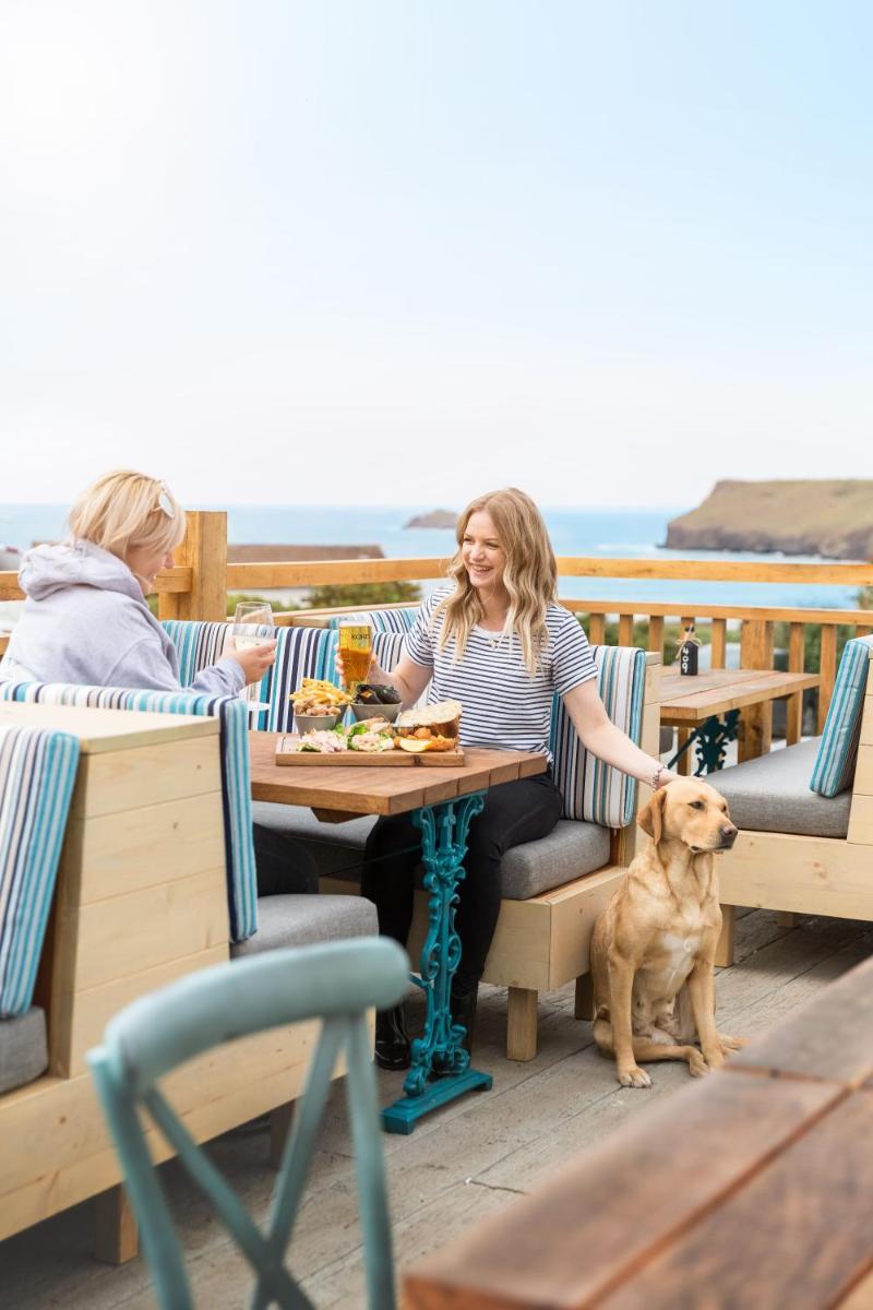 Oystercatcher Apartments - Housity