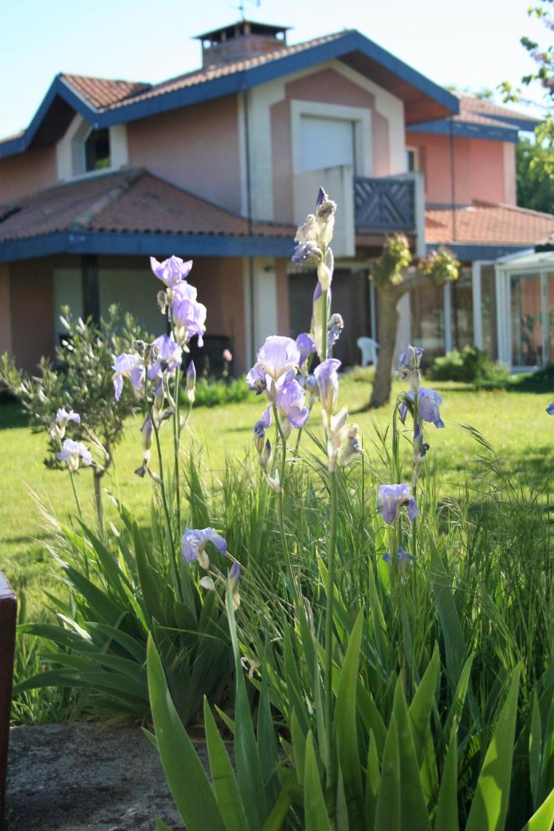 villa helianthe - Housity
