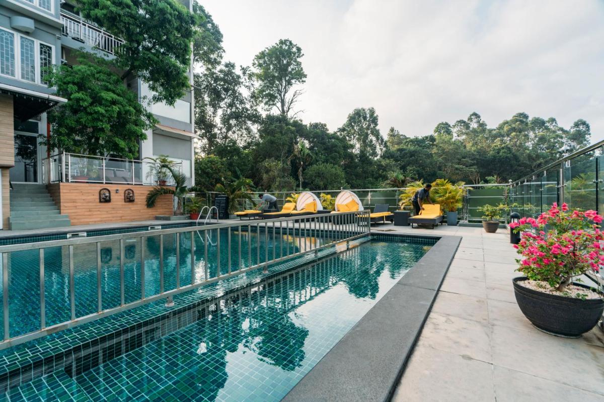 a hotel swimming pool with a view of the forest at The Panoramic Getaway in Munnar