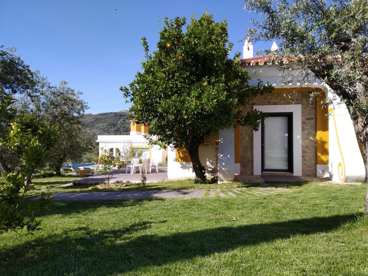 Casa da Paleta - Housity