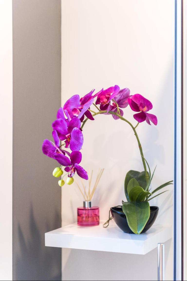 Modern Private Apartment - Housity
