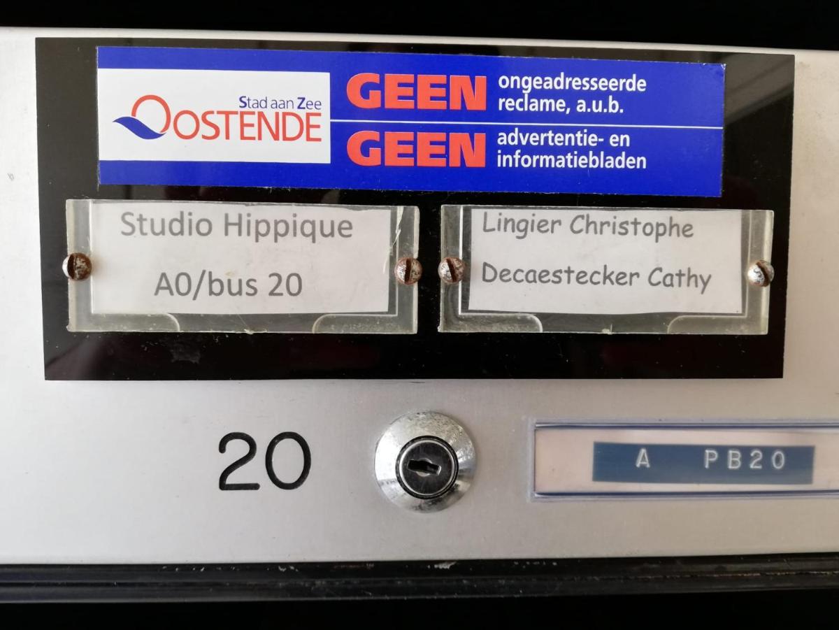 Studio Hippique - Housity