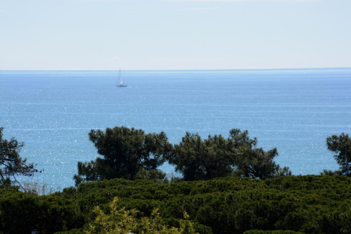 Paisaje cerca de este hotel