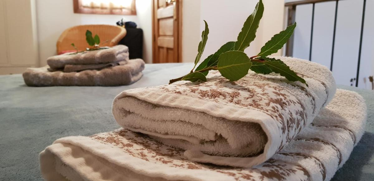 Casa Rural La Jara Blanca - Housity
