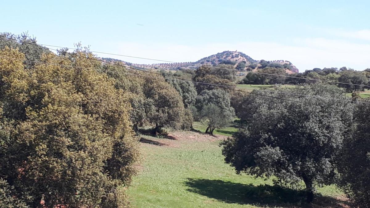 VILLA MARIA - Housity