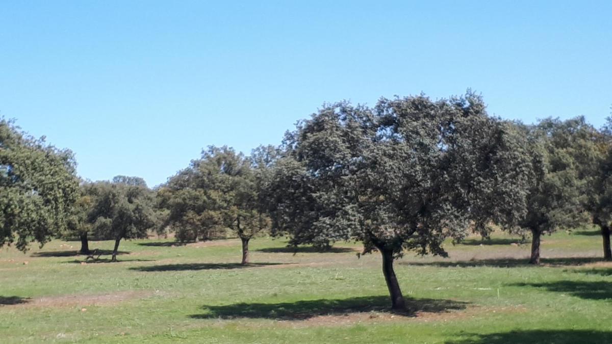 VILLA MARIA - Housity