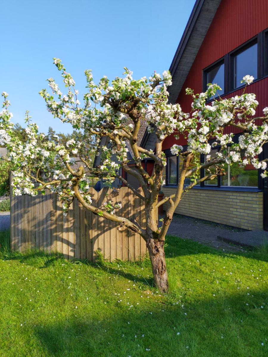 Summers Paradise - Housity