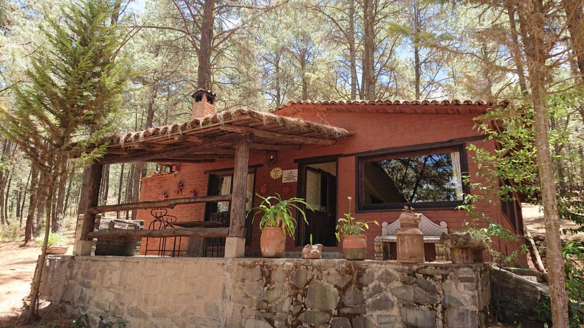Cabañas tapalpa Sierra del Tecuan, Cabaña Tejón - Housity