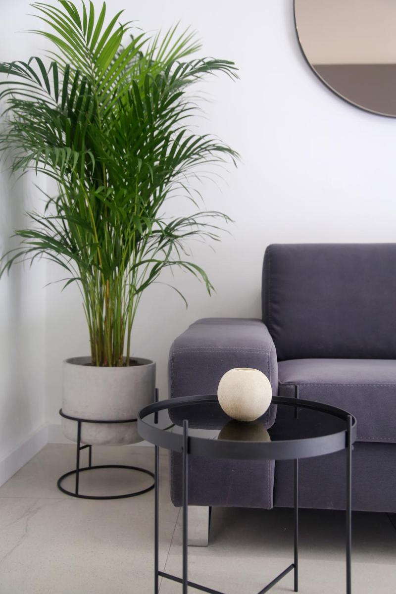 Apartments HUGO 2 - Housity