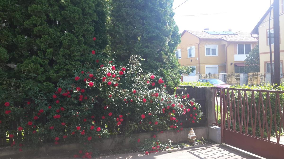 Rubin Apartman - Housity